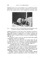 giornale/CFI0363237/1928/unico/00000274