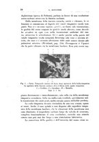 giornale/CFI0363237/1931/unico/00000034