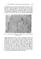 giornale/CFI0363237/1931/unico/00000099