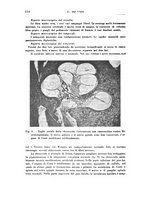 giornale/CFI0363237/1931/unico/00000116