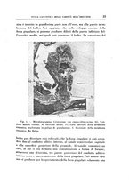 giornale/CFI0363237/1934/unico/00000031