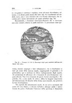 giornale/CFI0363237/1934/unico/00000232