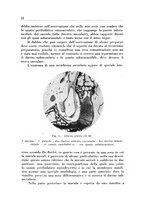 giornale/CFI0363237/1935/unico/00000018