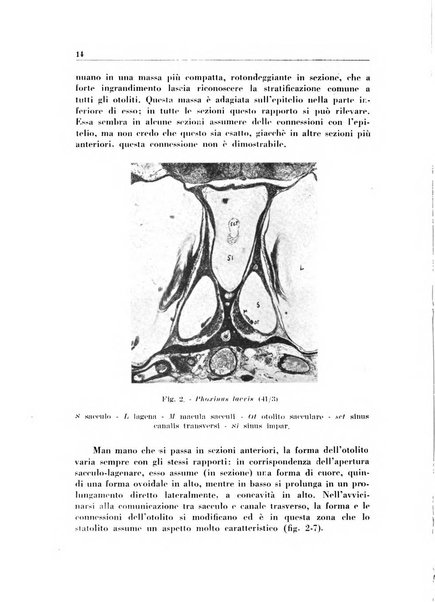 Rassegna italiana di oto-rino-laringologia