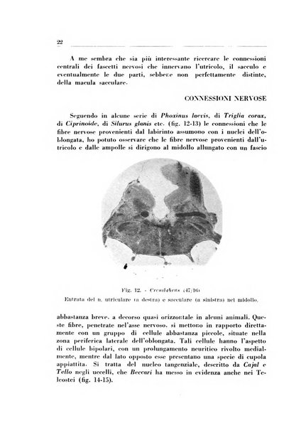 Rassegna italiana di oto-rino-laringologia