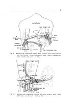 giornale/CFI0363237/1935/unico/00000031