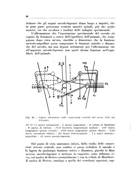 Rassegna italiana di oto-rino-laringologia