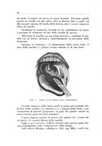 giornale/CFI0363237/1935/unico/00000100
