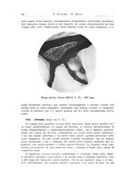 giornale/CFI0363237/1936/unico/00000020