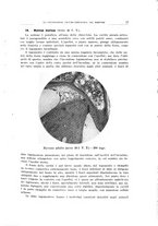 giornale/CFI0363237/1936/unico/00000023