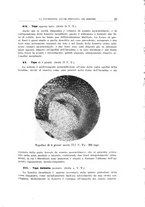 giornale/CFI0363237/1936/unico/00000031