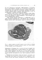 giornale/CFI0363237/1936/unico/00000043