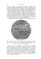 giornale/CFI0363237/1936/unico/00000048