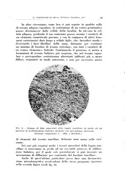 Rassegna italiana di oto-rino-laringologia