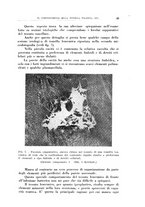 giornale/CFI0363237/1936/unico/00000051