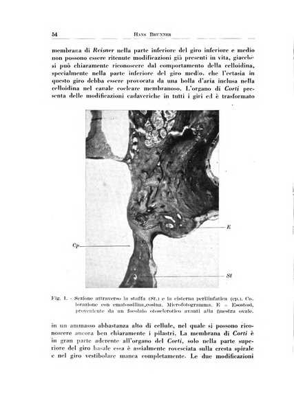 Rassegna italiana di oto-rino-laringologia