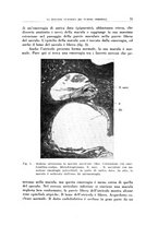 giornale/CFI0363237/1936/unico/00000081