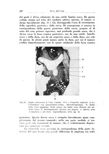 Rassegna italiana di oto-rino-laringologia