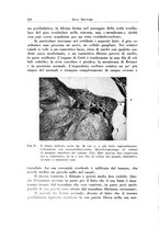 giornale/CFI0363237/1936/unico/00000196