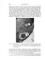 giornale/CFI0363237/1936/unico/00000198