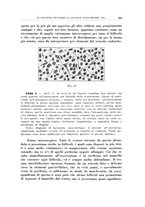 giornale/CFI0363237/1936/unico/00000317