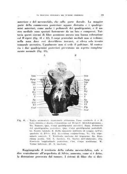 Rassegna italiana di oto-rino-laringologia