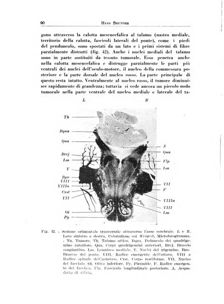 Rassegna italiana di oto-rino-laringologia