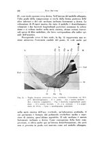 giornale/CFI0363237/1937/unico/00000152