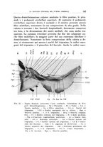 giornale/CFI0363237/1937/unico/00000153