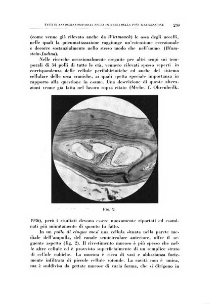 Rassegna italiana di oto-rino-laringologia