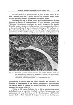 giornale/CFI0363237/1938/unico/00000079