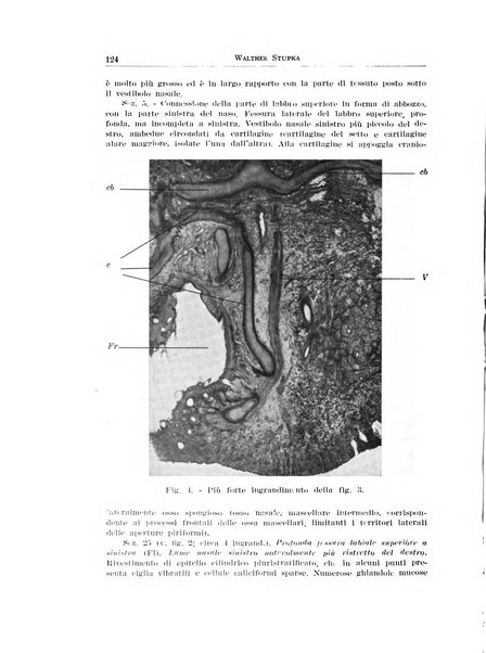 Rassegna italiana di oto-rino-laringologia