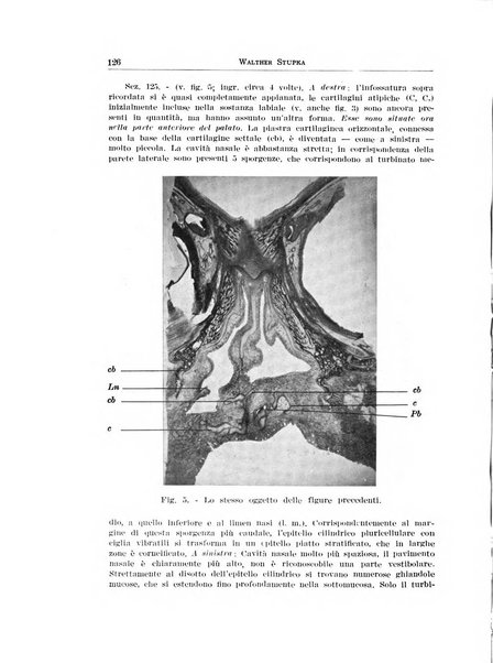 Rassegna italiana di oto-rino-laringologia