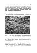 giornale/CFI0363237/1938/unico/00000317