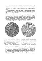 giornale/CFI0363237/1939/unico/00000107