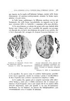 giornale/CFI0363237/1939/unico/00000115