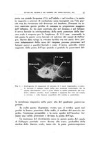 giornale/CFI0363237/1940/unico/00000021