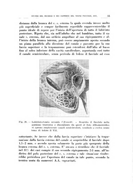 Rassegna italiana di oto-rino-laringologia