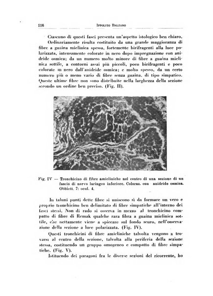 Rassegna italiana di oto-rino-laringologia