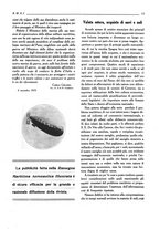 giornale/CFI0363252/1919-1920/unico/00000159