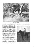 giornale/CFI0363252/1919-1920/unico/00000505