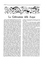giornale/CFI0363252/1921/unico/00000061