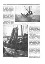 giornale/CFI0363252/1921/unico/00000155