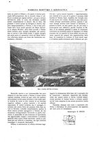 giornale/CFI0363252/1922/unico/00000335