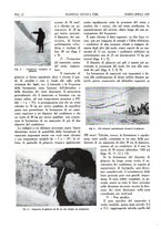 giornale/CFI0363333/1939/unico/00000032