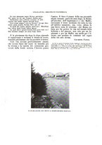 giornale/CFI0363342/1924/unico/00000165
