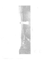 giornale/CFI0363342/1925/unico/00000039