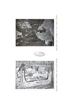 giornale/CFI0363342/1925/unico/00000059