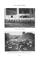 giornale/CFI0363342/1925/unico/00000083