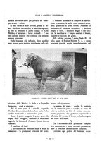 giornale/CFI0363342/1925/unico/00000085